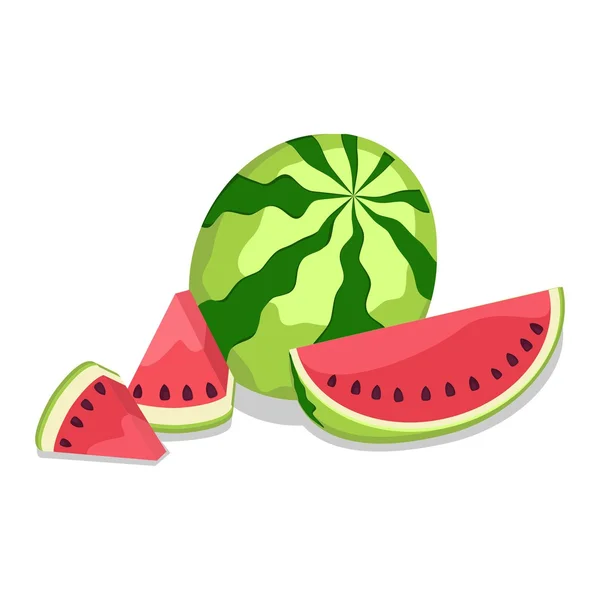 Wassermelonenbeere — Stockvektor