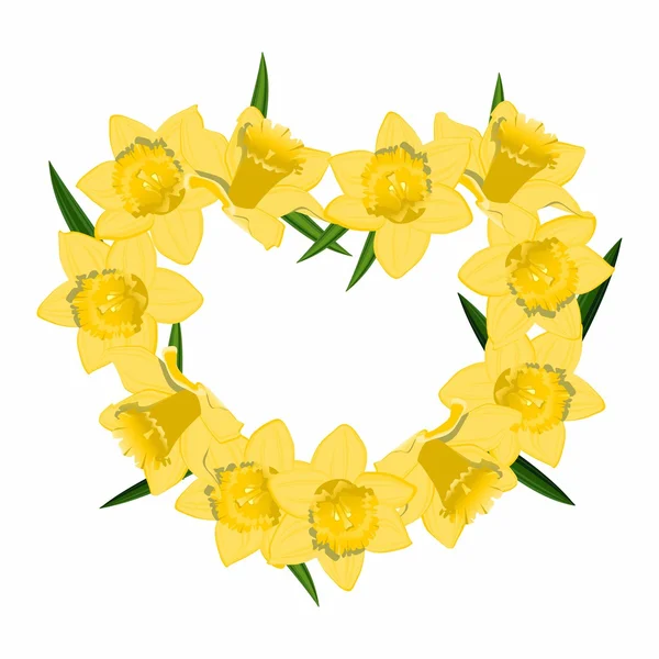 Corazón de Narciso — Archivo Imágenes Vectoriales