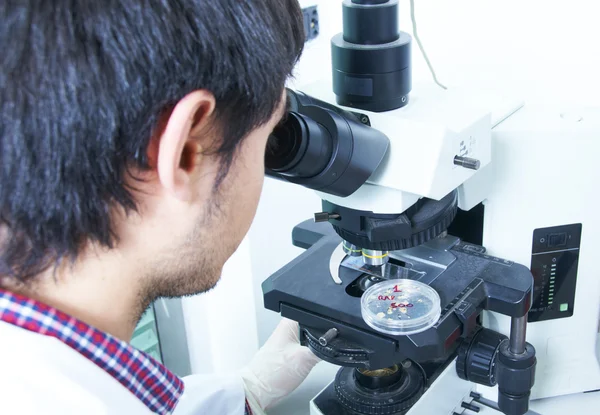 Laboratorio químico — Foto de Stock