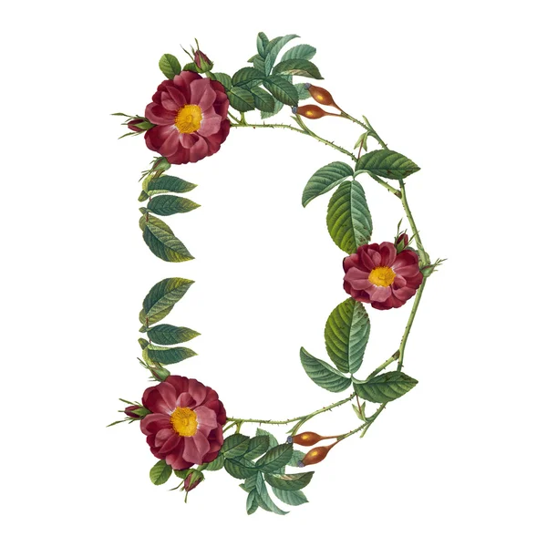 Floral alphabet in white background — Stock Photo, Image