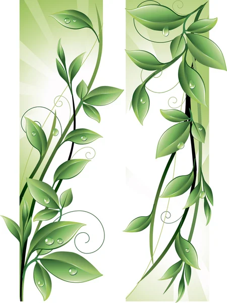 Twigs — Stock Vector