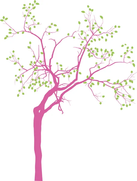 Spring tree — Stock Vector