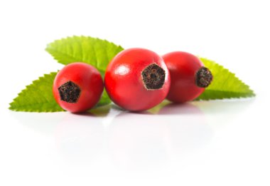 Üç dogrose