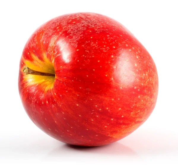 Un măr — Fotografie, imagine de stoc