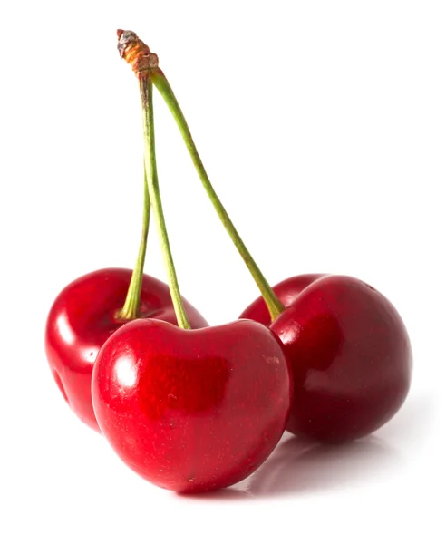Geïsoleerde cherry — Stockfoto