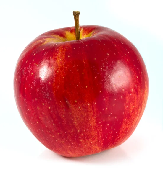 Bir elma Stok Fotoğraf