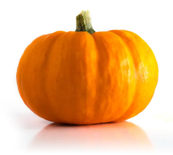 Pumpkin Royalty Free Stock Photos