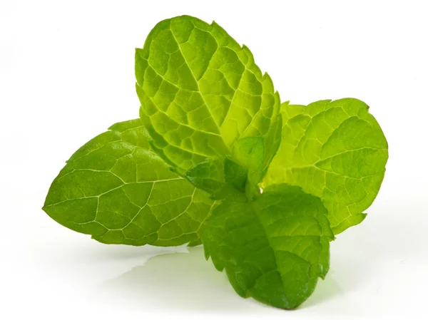 Mint leaves — Stock Photo, Image