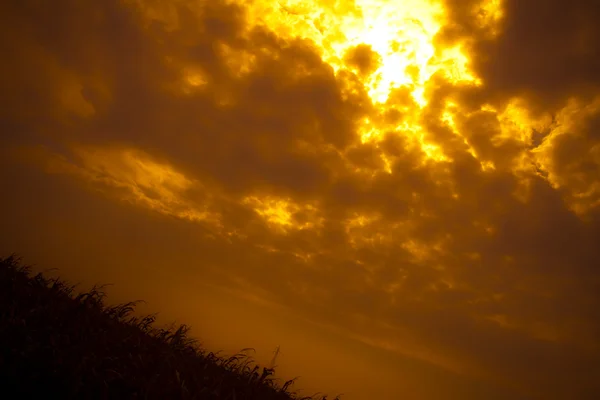 Zonsondergang — Stockfoto