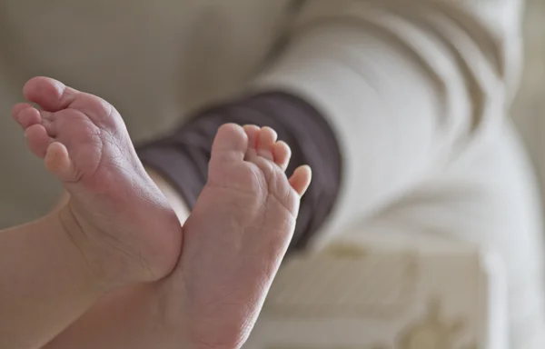 Baby Feet — Stock Photo, Image