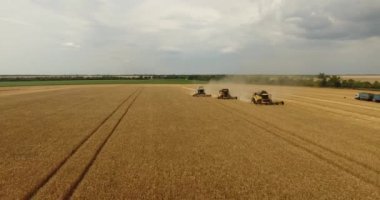 Tarlada birleşen buğday hasadı