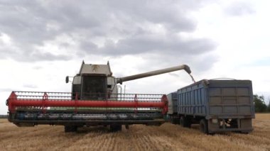 tarım hasatçısı bir kamyona tahıl döker