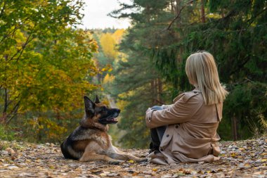 Sonbahar ormanında dağda oturan kadın ve köpeğin arka manzarası