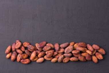 Soyulmamış çiğ kakao çekirdekleri siyah, modern beton arka planda yatıyor. Düz yat, maket yap, boşluğu kopyala. Kakao tozu, kakao içeceği ve çikolata yapmak için hammadde. Sağlık içeceği kavramı.