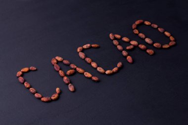 Kakao, doğal işlenmemiş kakao çekirdeklerinden yapılan siyah arka planda sergilenir. Kakao tozu, kakao içeceği ve çikolata yapmak için hammadde. Sağlık içeceği konsepti. Düz yat, boşluğu kopyala.