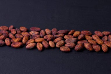 Soyulmamış çiğ kakao çekirdekleri siyah, modern beton arka planda yatıyor. Düz yat, maket yap, boşluğu kopyala. Kakao tozu, kakao içeceği ve çikolata yapmak için hammadde. Sağlık içeceği kavramı.