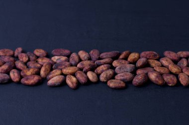 Soyulmamış çiğ kakao çekirdekleri siyah, modern beton arka planda yatıyor. Düz yat, maket yap, boşluğu kopyala. Kakao tozu, kakao içeceği ve çikolata yapmak için hammadde. Sağlık içeceği kavramı.