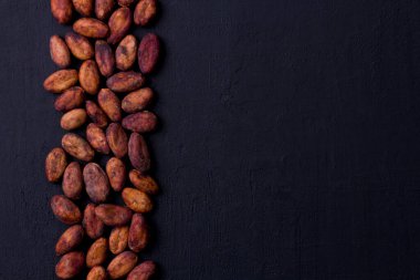 Soyulmamış çiğ kakao çekirdekleri siyah, modern beton arka planda yatıyor. Düz yat, maket yap, boşluğu kopyala. Kakao tozu, kakao içeceği ve çikolata yapmak için hammadde. Sağlık içeceği kavramı.