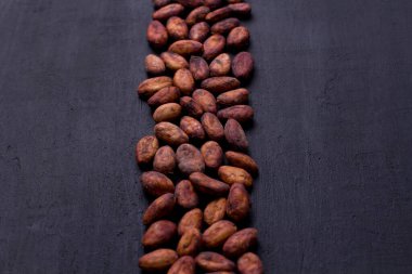 Soyulmamış çiğ kakao çekirdekleri siyah, modern beton arka planda yatıyor. Düz yat, maket yap, boşluğu kopyala. Kakao tozu, kakao içeceği ve çikolata yapmak için hammadde. Sağlık içeceği kavramı.