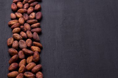 Soyulmamış çiğ kakao çekirdekleri siyah, modern beton arka planda yatıyor. Düz yat, maket yap, boşluğu kopyala. Kakao tozu, kakao içeceği ve çikolata yapmak için hammadde. Sağlık içeceği kavramı.