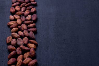 Soyulmamış çiğ kakao çekirdekleri siyah, modern beton arka planda yatıyor. Düz yat, maket yap, boşluğu kopyala. Kakao tozu, kakao içeceği ve çikolata yapmak için hammadde. Sağlık içeceği kavramı.
