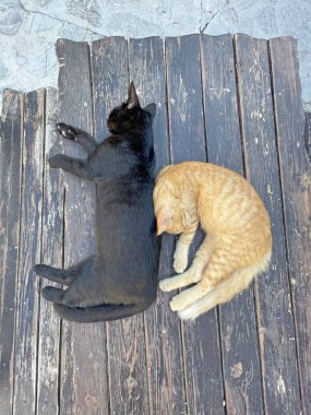 İki yavru kedinin siyah ve kırmızı renkleri Kıbrıs 'taki ahşap bir masada tatlı tatlı uyuyor. Sokak kedileri doğada uyur. En iyi manzara, kardeşlerim..