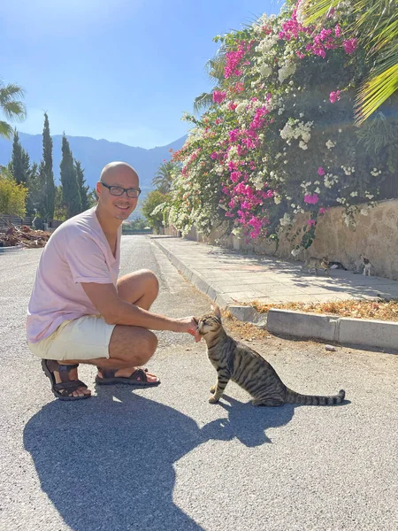 夏にキプロス島のブーゲンビリアの花 山の背景に若いはげ男通りホームレスハンサムな灰色のタビー猫 優しさと愛情 動物への愛 — ストック写真
