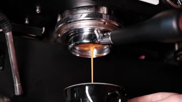 Close-up of Espresso machine making coffee in pub, bar, restaurant. Professional coffee brewing. Coffee Shop Cafeteria Restaurant Service Concept. slow motion — Stock Video