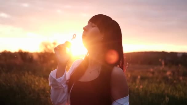 Bonita mujer joven haciendo burbujas de jabón en el campo verde de verano en la puesta del sol. Feliz tiempo de paz. generación milenaria — Vídeos de Stock