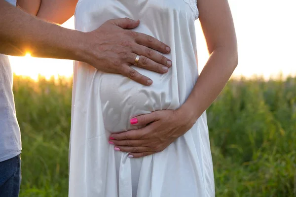 Close Cute Pregnant Tummy Nature Background Motherhood Concept — стоковое фото
