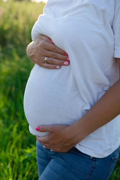 Close Cute Pregnant Tummy Nature Background Motherhood Concept — Photo