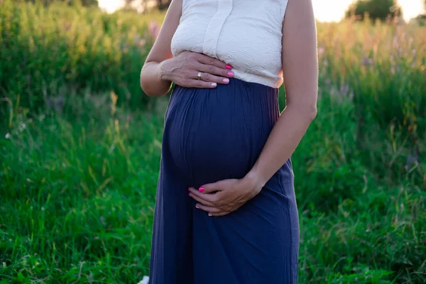Happy Healthy Pregnancy Maternity Portrait Pregnant Young Caucasian Woman Wearing — Fotografia de Stock