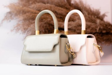 fashion photo of two purse. beige and green woman handbag with gold chain on background of pampas grass or dried flowers. isolated on white background. Product composition photography.