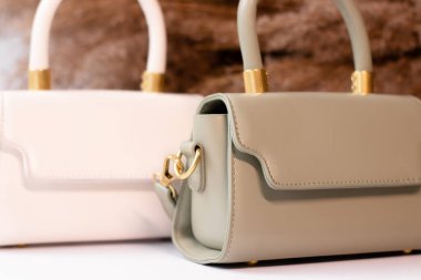 fashion photo of two purse. beige and green woman handbag with gold chain on background of pampas grass or dried flowers. isolated on white background. Product composition photography.