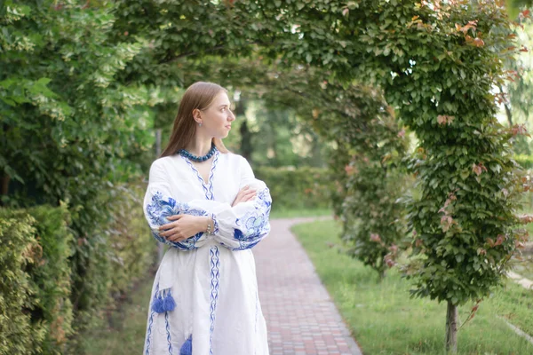 Портрет Молодої Жінки Синій Національній Традиційній Вишитій Сорочці Красива Дівчина Ліцензійні Стокові Зображення