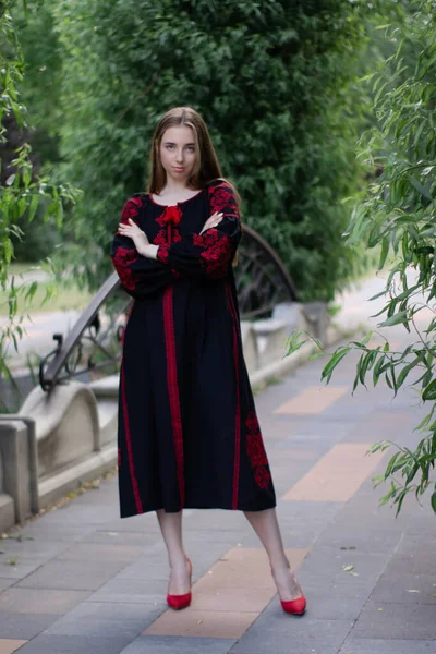 Geleneksel Ukrayna Kıyafetleri Içinde Bir Kız Siyah Kırmızı Işlemeli Elbise — Stok fotoğraf