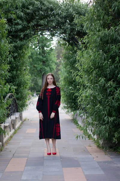 Portrait Young Woman Wearing Black Red Vyshyvanka National Embroidered Ukrainian — 스톡 사진