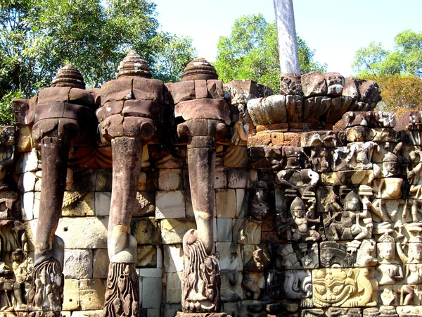 Elefante in Ankor Wat — Foto Stock