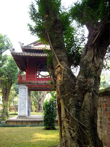 Temple of Literature, Hanoi — Stock Photo, Image