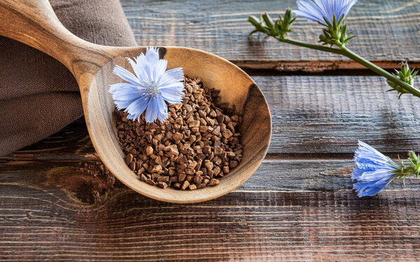 Instant chicory granules and fresh blue flower in wooden spoon on rough table made of brown natural wooden planks with cracks. Linen textile napkin and plant stem in bloom on side. Close-up.