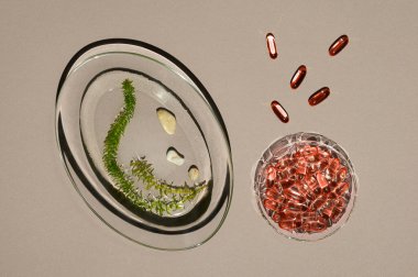 Şeffaf cam levhalar, alg yağı jelatin kapsülleri ve suya yerleştirilmiş taze yeşil deniz yosunları. Kahverengi kağıt arka plan. Yenilikçi gıda malzemeleri ve vitamin. Düz yatıyordu.