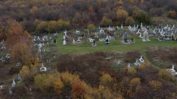 Νεκροταφείο Στη Μέση Των Δέντρων Φθινοπωρινή Μέρα Αεροφωτογραφία Τηλεκατευθυνόμενου — Αρχείο Βίντεο