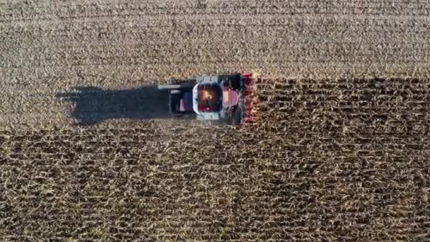Aerial Drone View Combine Oogstmachine Dorst Maïs Een Landbouwveld Bovenaanzicht — Stockvideo