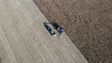 Hasat makinası yeni toplanan tahılları karavana yüklüyor. Tarım alanındaki çalışma sürecinin hava aracı görünümü