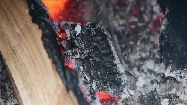 Eiken Brandhout Het Rookhuis Van Dichtbij Gezien Het Roken Van — Stockvideo