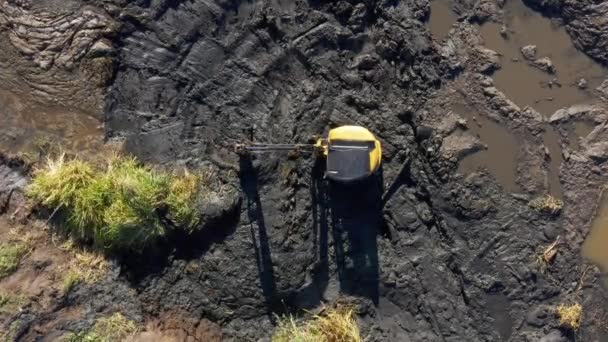Crawler Excavator Cleans Pond Silt Algae Earthworks Service — ストック動画