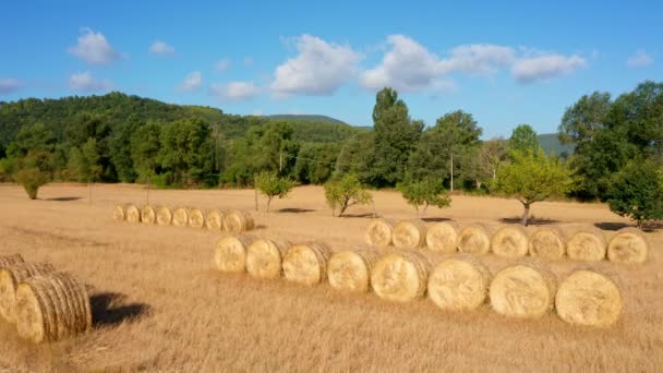 Pacas Heno Redondas Tierras Cultivo Paisaje Rural Agricultura Adquisición Forrajes — Vídeos de Stock