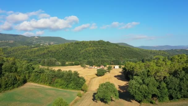 Drone Aéreo Ver Terras Agrícolas Com Edifícios Agrícolas Sobre Eles — Vídeo de Stock