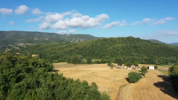 Terras Agrícolas Vista Aérea Drone Paisagem Scenic Dia Sol — Vídeo de Stock