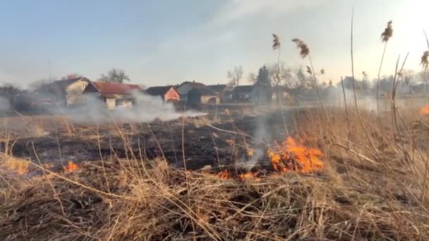 Száraz Égett Mezőn Lakóház Közelében Környezeti Károk Szennyezés Tűz Tulajdontűz — Stock videók